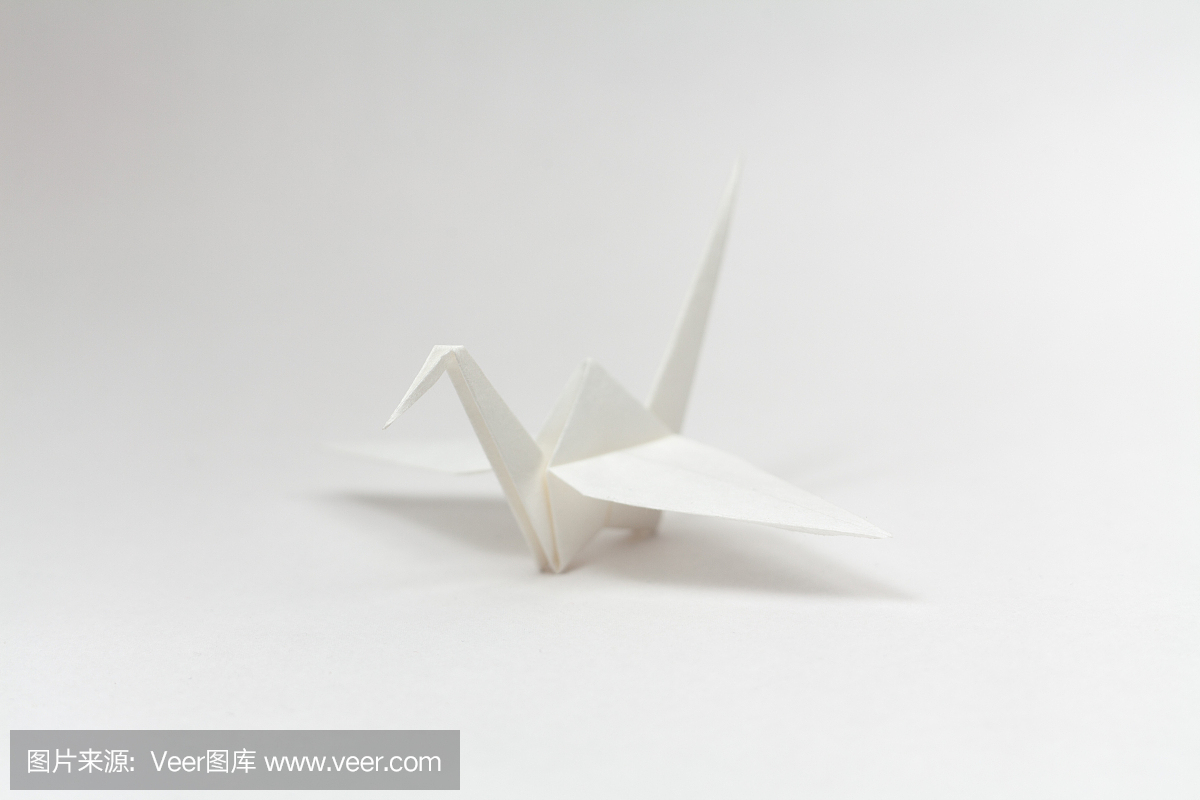 折纸、纸鸟