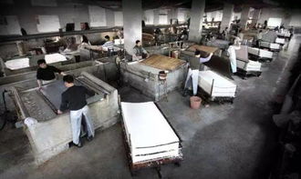 泾县宣纸文化园项目共有中国宣纸博物馆,宣纸古作坊,宣纸古籍印刷,文